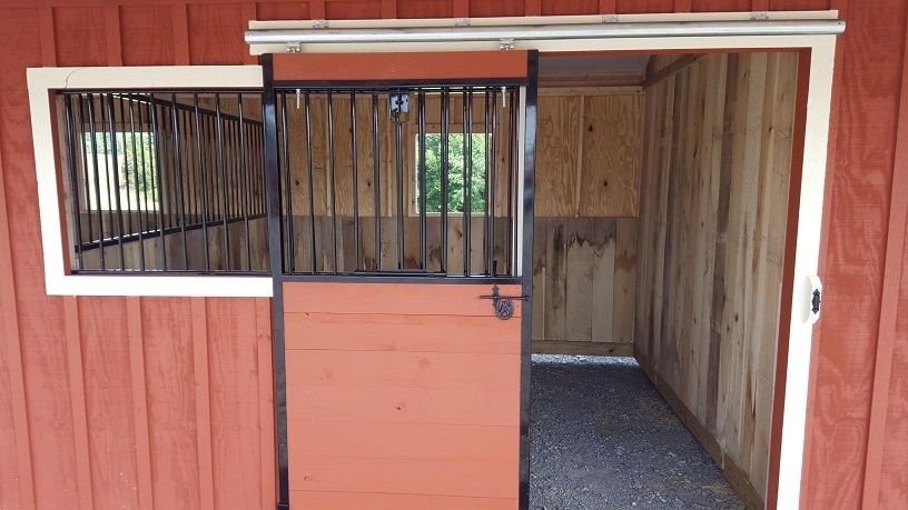mini horse rental near me