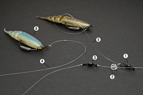 Nimm zwei! in 2020 | Angeln, Fische Nimm zwei! in 2020 | Angeln, Fische