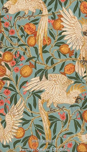 cockatoo and pomegranate wallpaper