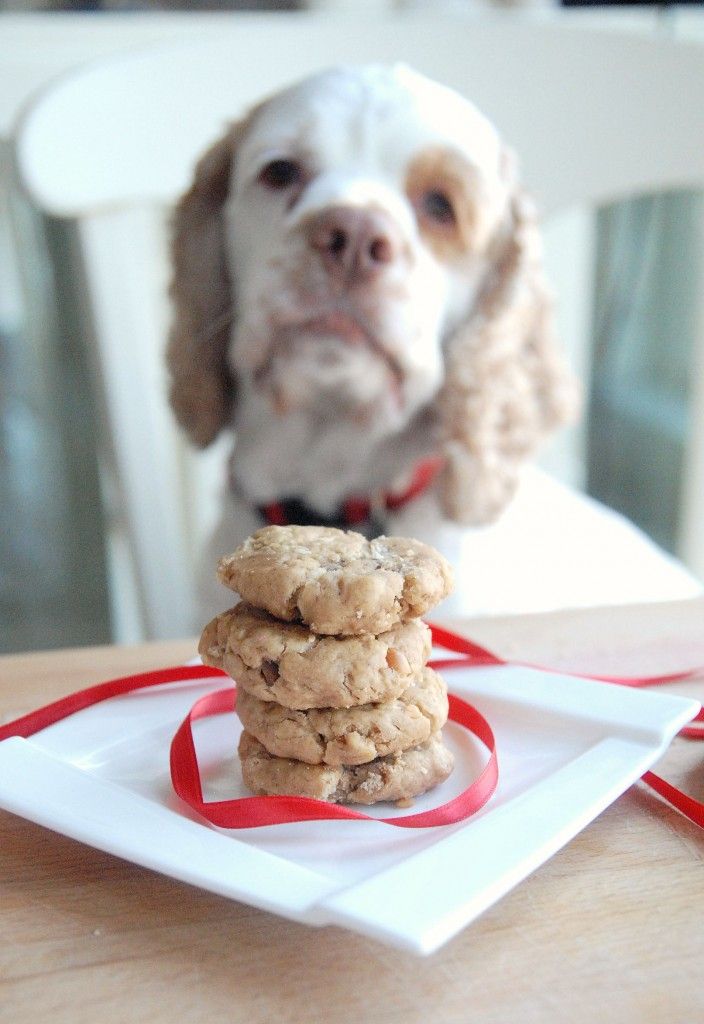 Peanut Butter Dog Treats I Think They Are Ok With Wheat Germ