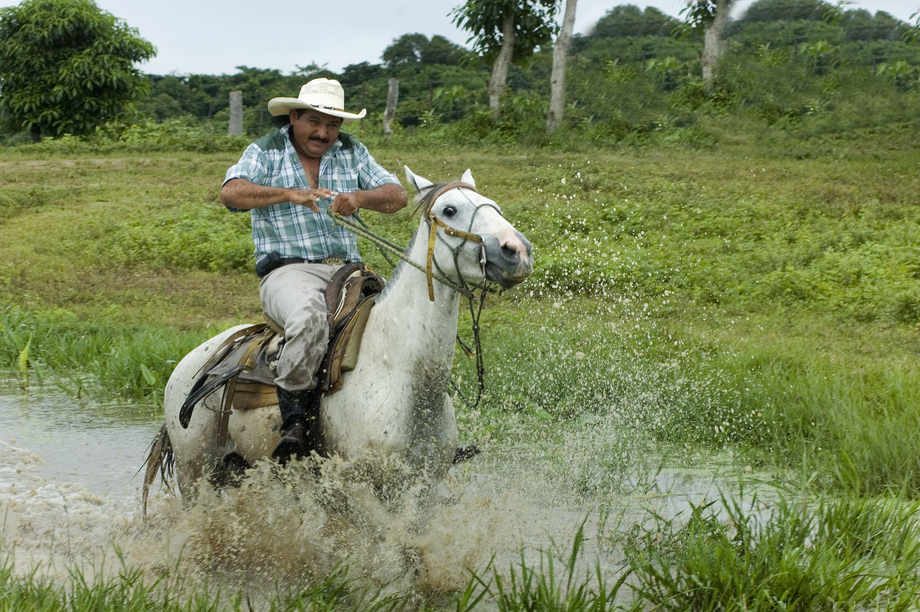 Jornada de un llanero en #Apure #Venezuela | Venezuela, Venezolana ...
