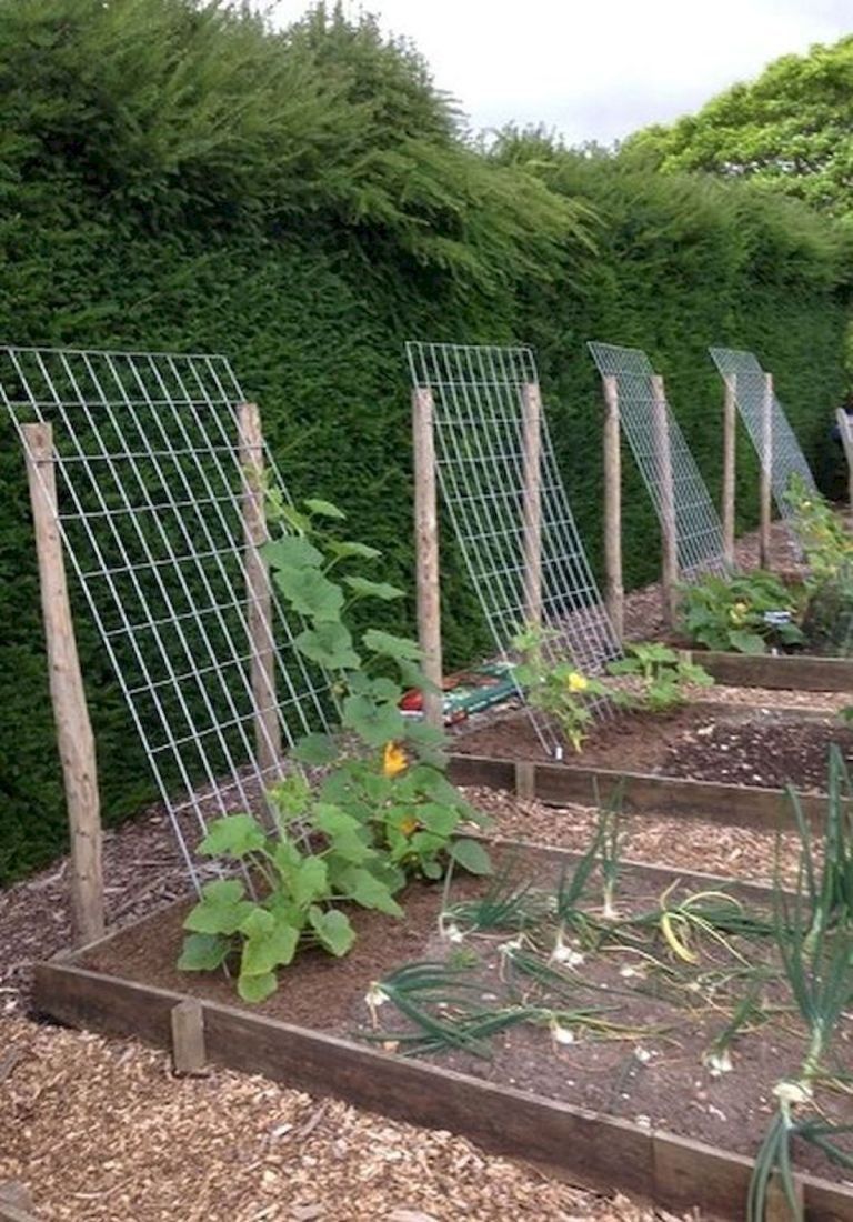 39+ Beautiful Stunning Vegetable Garden Design Ideas Perfect For Beginners#beaut...