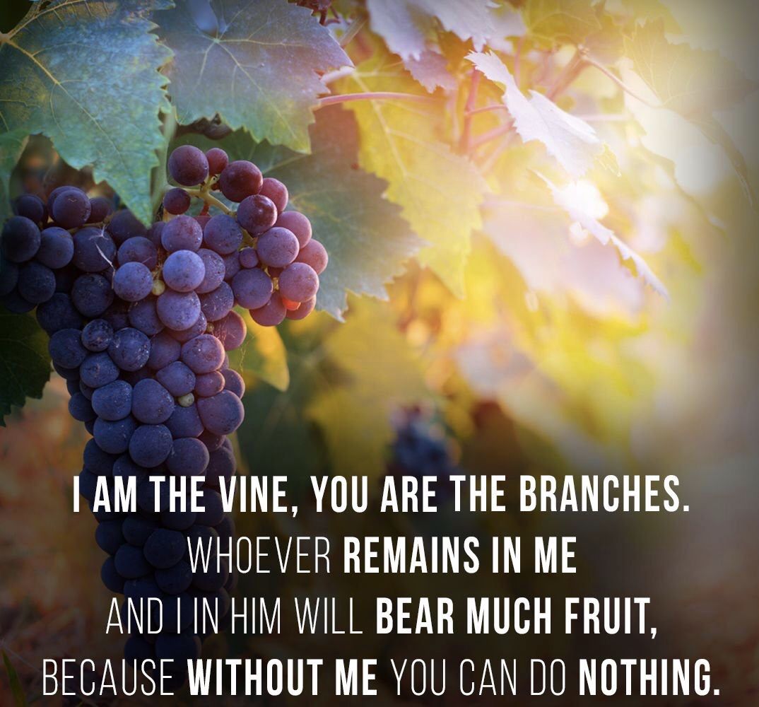 May We Always Stay On The Vine And Drink The Sap Of Everlasting Life