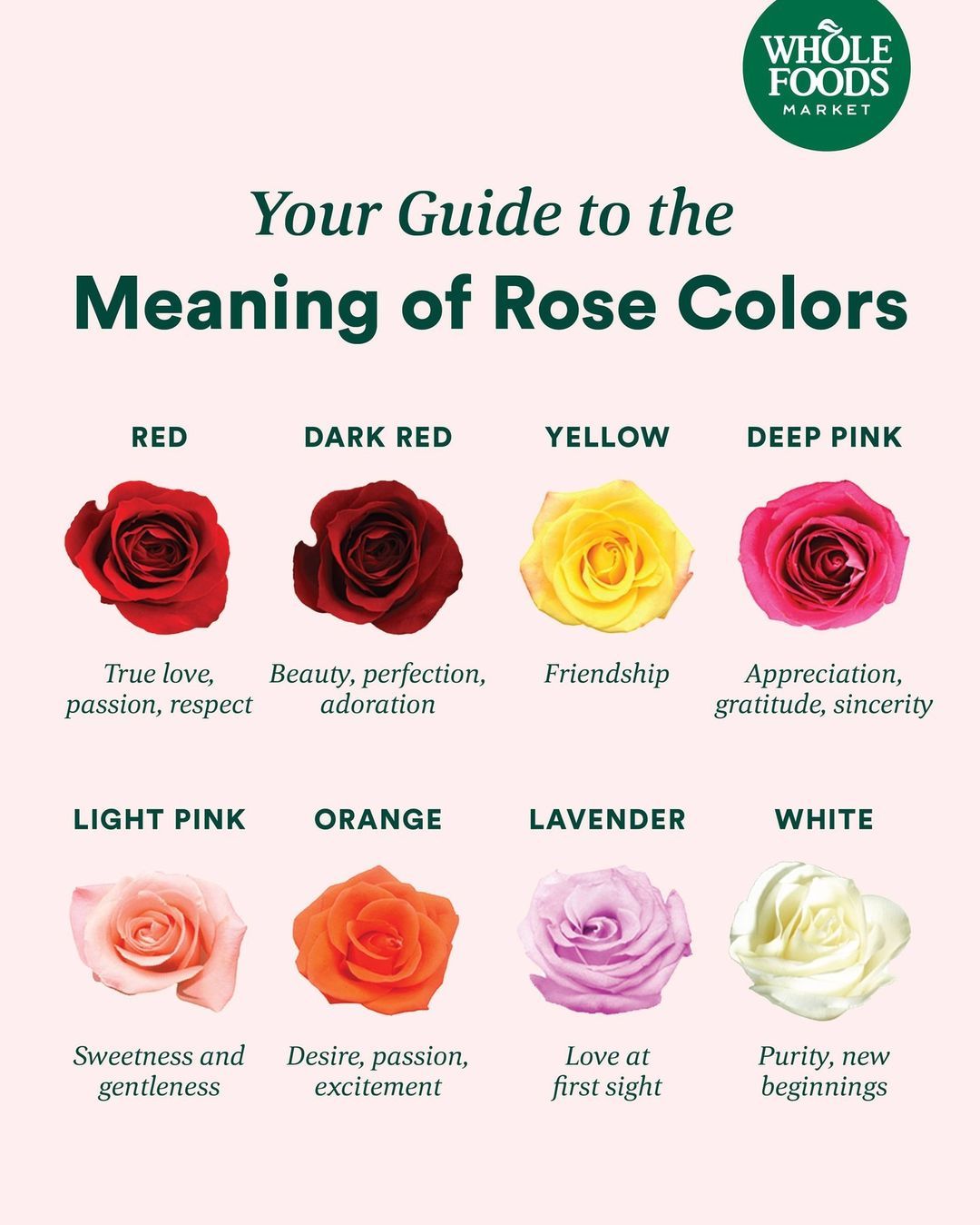 17 Rose Color Meanings to Help You Choose the Perfect Bouquet