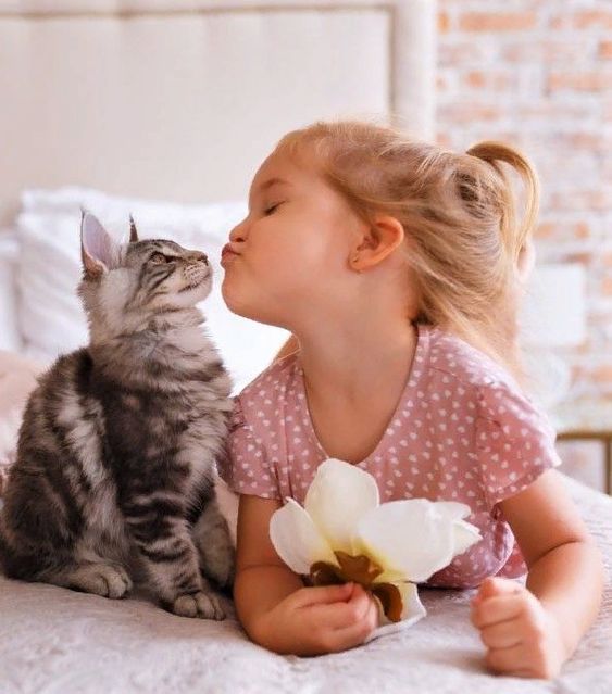 A cat needs ongoing love, care, and attention for the long haul. Fortunately, cats make great pets for families with children, but it’s important to make well-informed decisions, especially when children are concerned. #kidsandcats Cute Baby Animals, Animals For Kids, Animals And Pets, Kids And Pets, Beautiful Cats, Beautiful Children, Mimi Chat, Gato Gif, Cute Kids Photography