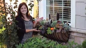 Garden Answer Youtube Window Baskets Hanging Plants Planting