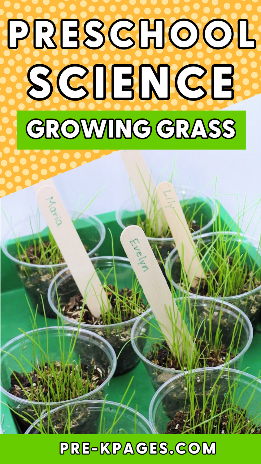 How To Grow Grass Seed in a Cup