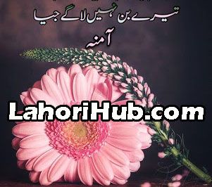 Bin Roye Ansoo Novel by Farhat Ishtiaq Pdf Download ...