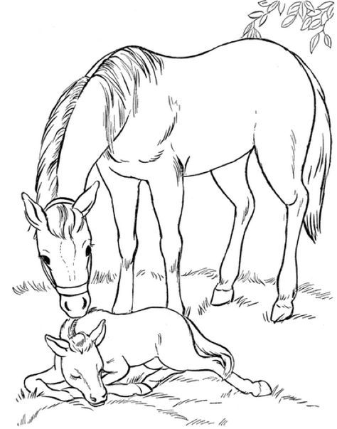 Print coloring page and book Mare and Foal Coloring Page for kids of