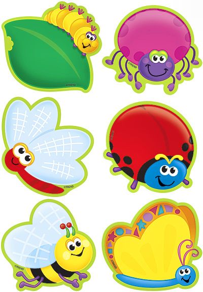 Assorted Bug Mini Accents 36 Classroom Decorations Classroom Birthday School Wall Art