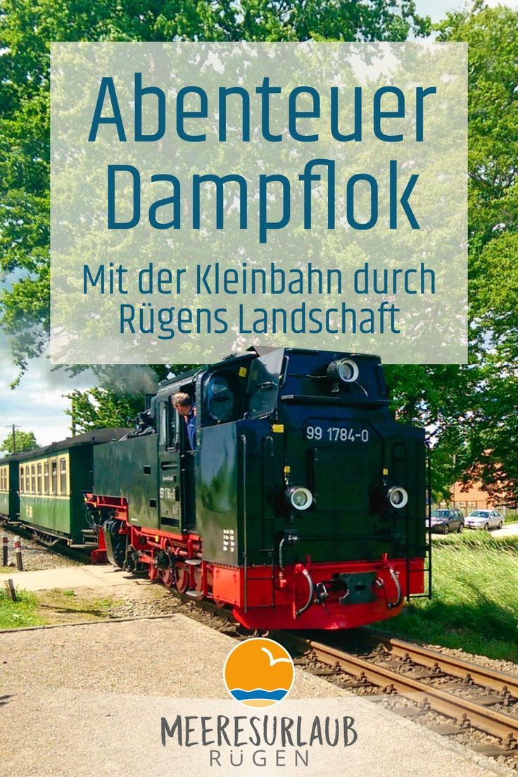Fehmarn single urlaub