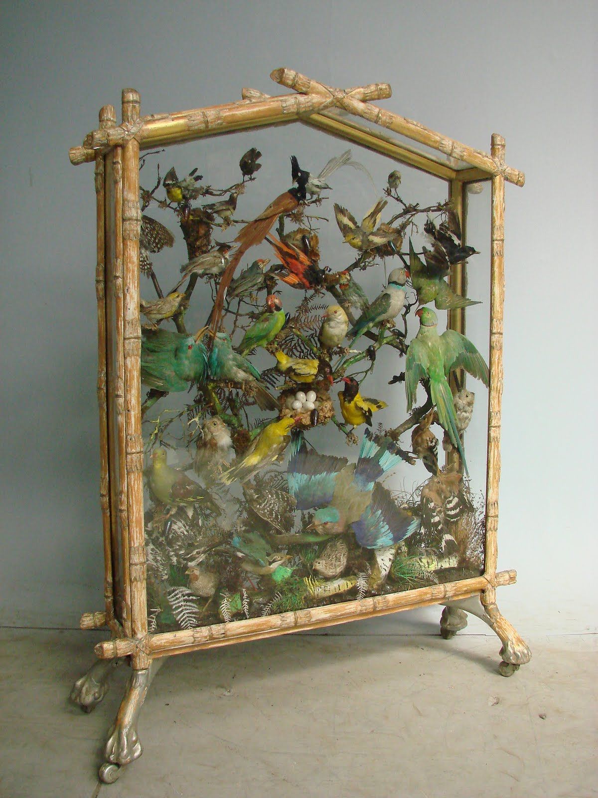 Bird Inspired Interiors&hellip;..Classic, Elegant, And Never
