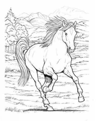 Wonderful World of Horses Coloring Book by John Green Horse Coloring Books, Animal Coloring Pages, Coloring For Kids, Coloring Sheets, Coloring Pages For Kids, Horse Drawing, Horse Art, John Green Books, Free Horses