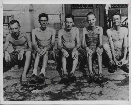 wwii pow camp essays Aliceville german pow camp/museumin 1942, at the conclusion of the campaign in north africa, the logistical strain of securing such a large number of prisoners in the area prompted the us. wwii pow camp essays Aliceville german pow camp/museumin 1942, at the conclusion of the campaign in north africa, the logistical strain of securing such a large number of prisoners in the area prompted the us.