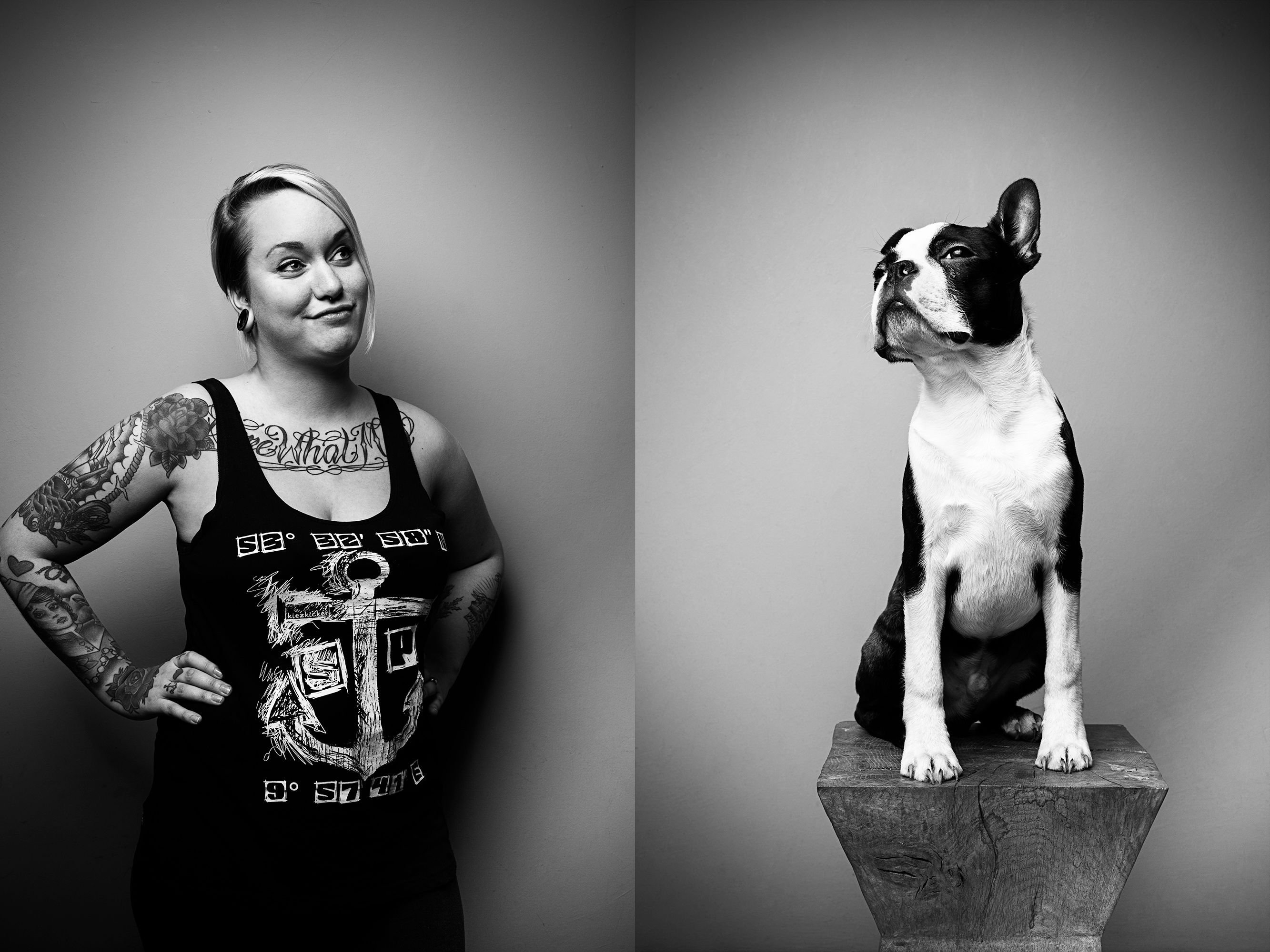 Human Bulldog Portrait human-bulldog-portrait