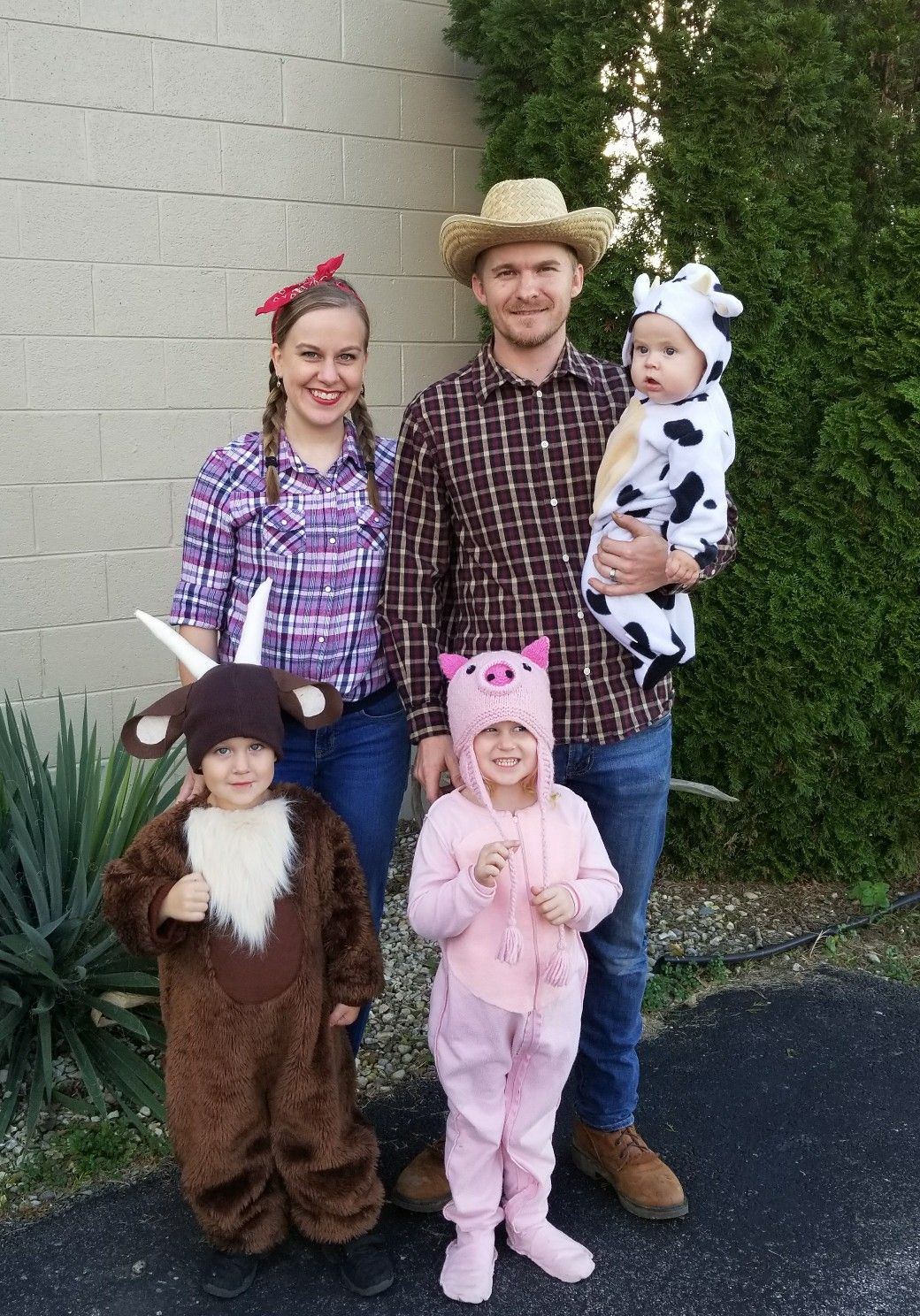 Last minute Halloween costumes Farm animal costumes, Farm costumes, Family halloween costumes