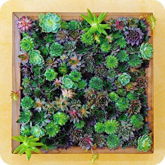 Feng Shui Home Decorating For Modern Living | Garden frame ... Feng Shui Home Decorating For Modern Living | Garden frame ... on Modern Feng Shui Garden
id=62255