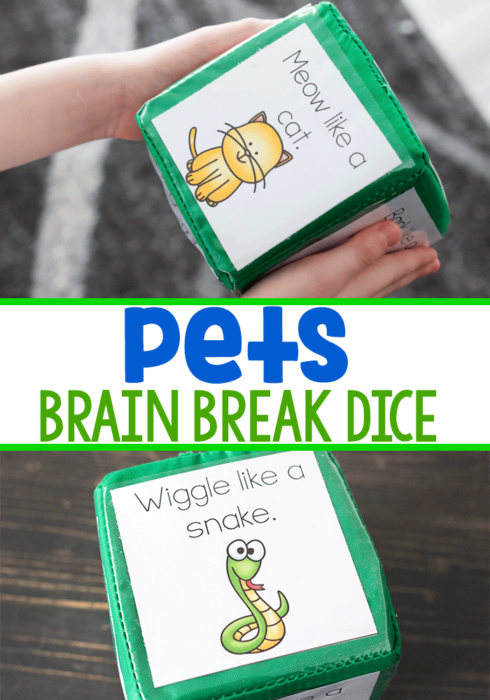 These pet theme brain breaks for kids are the perfect free printable gross motor activity for your preschool and kindergarten. Get your kids wiggles o...