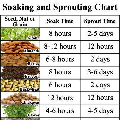 soaking seed nuts and grain for sprouting chart plants seed sprouting chart