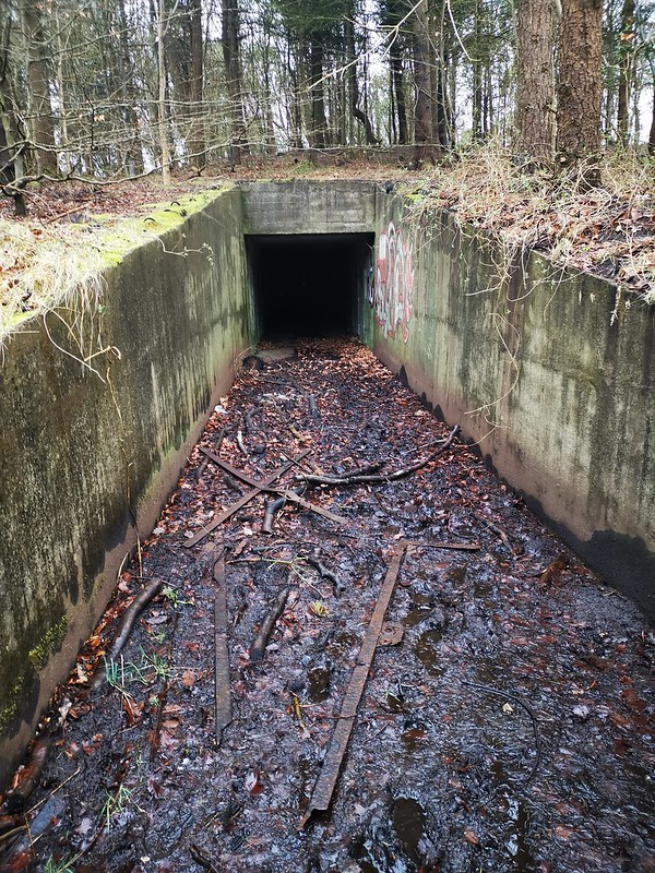 Atlantikwall Regelbau S174 - Heavy Ammunition depot Bunker… | Flickr #RegelbauS174 #AtlanticWall #AtlantikWall #Bunker #Regelbau #ww #wwii #history #worldwar #military #war #secondworldwar #worldwartwo #germany #wwiihistory #worldwarii #army #s #tank #wwi #reenactment #m #dday #wehrmacht #militaryhistory #tanks #panzer #aviation #memes #usa #usarmy #p #vintage #soldier Abandoned Buildings, Abandoned Places, Era Nuclear, Secret Bunker, Bunker Hill Monument, Doomsday Bunker, Military Bunkers, Underground Shelter, Places In Europe