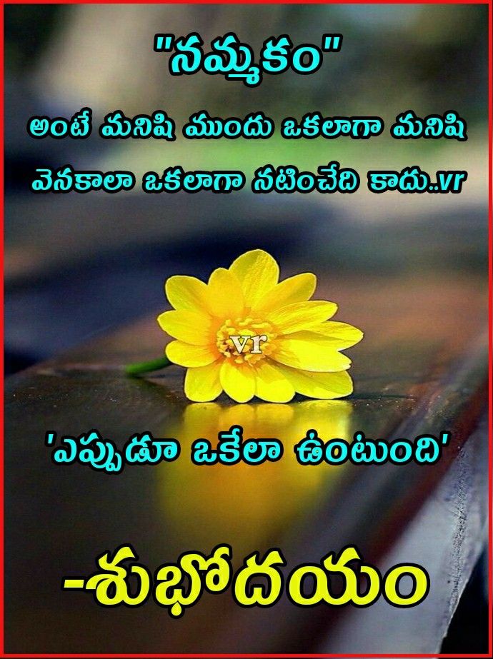 Pin by వందన..😊 on good morning quotes | Good morning quotes, Morning