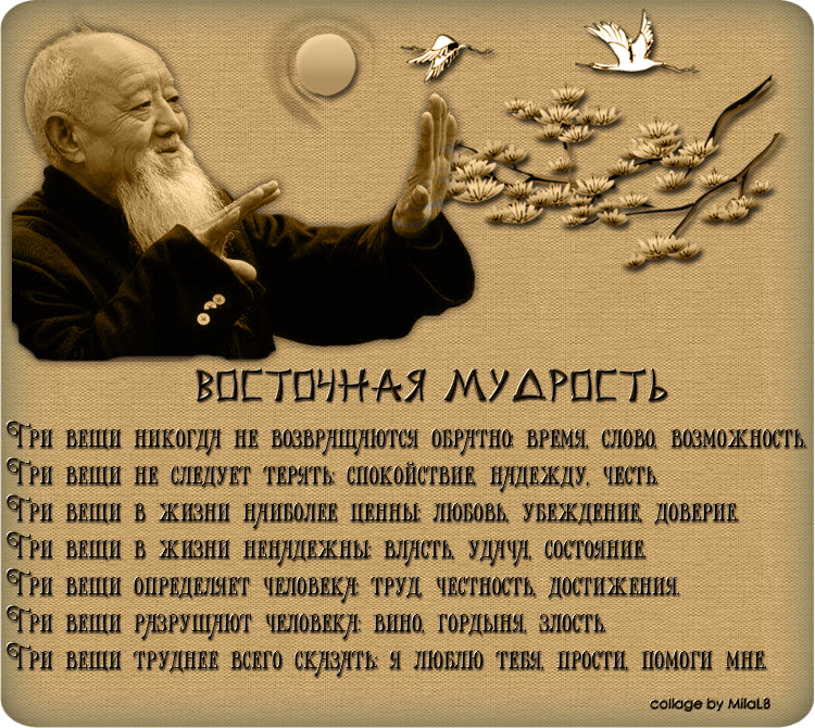 мудрые поздравления в день рождения мужчине притчи