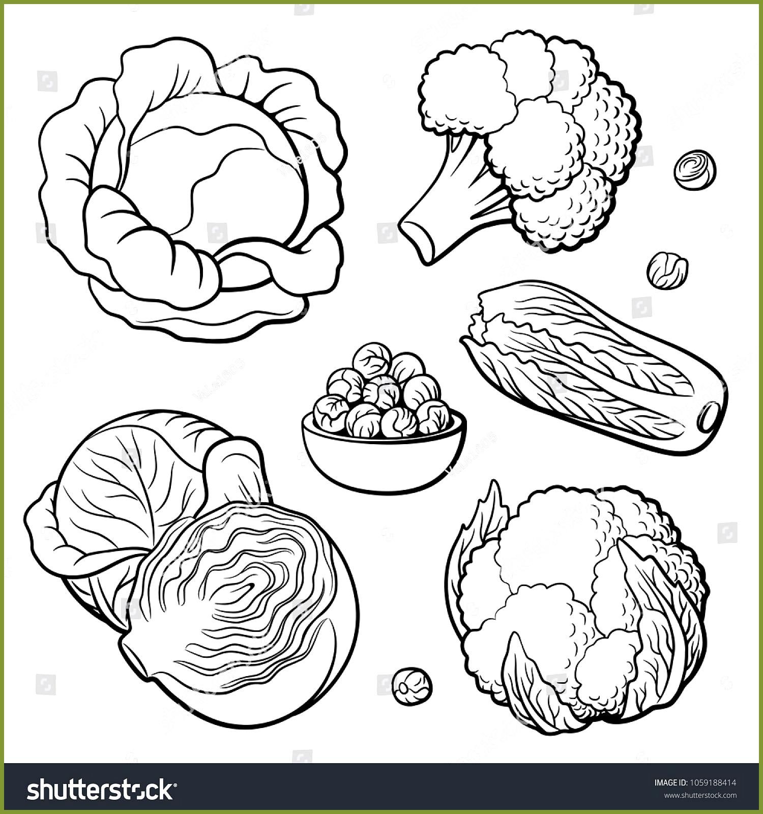 Vegetables Cauliflower Coloring Pages Outline Hand Drawn Set Of Vegetables Cabbage Broccoli Cauliflower Chinese Ca Outline Drawings Drawing Set How To Draw Hands