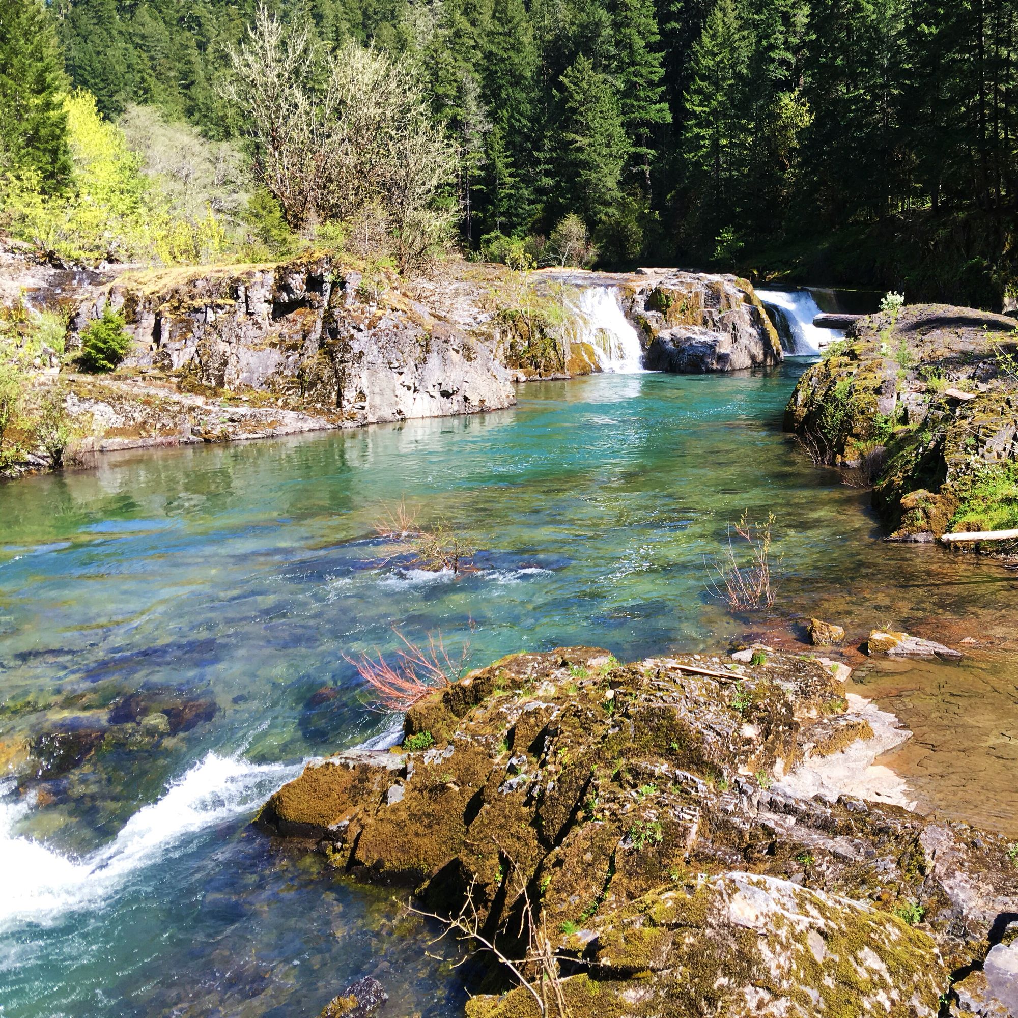 Steamboat Falls Umpqua River Oregon Waterfall Hiking Camping Forest Steamboat Falls Umpqua River Oregon Waterfall Hiking Camping Forest