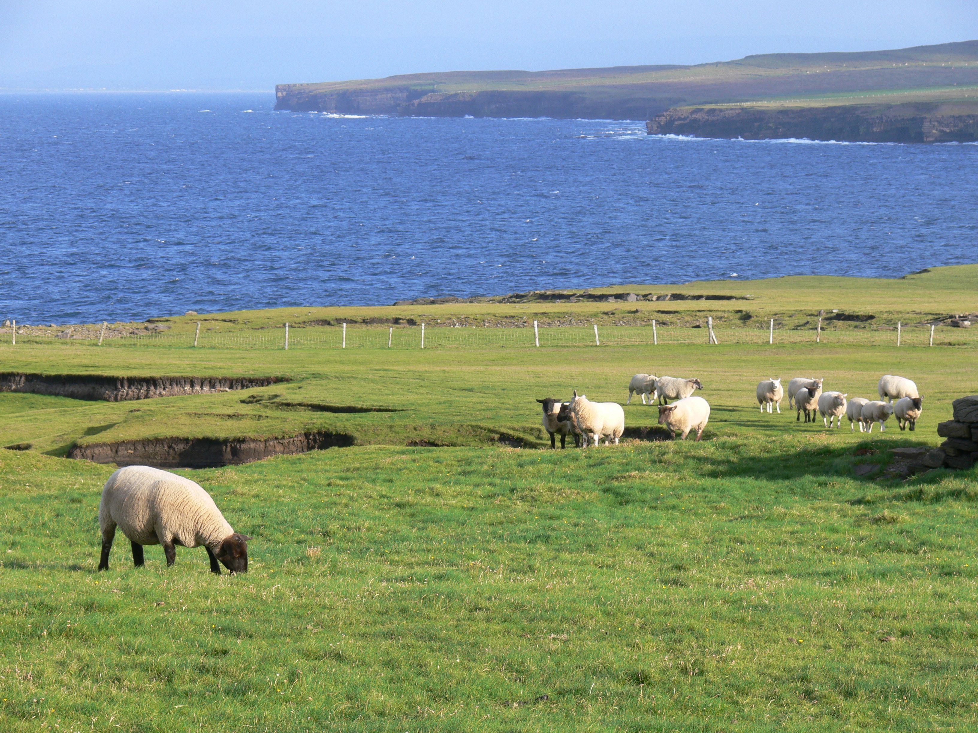 Irland kennenlernen