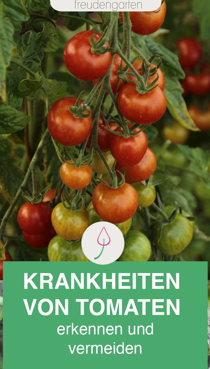 Selbstversorger kennenlernen