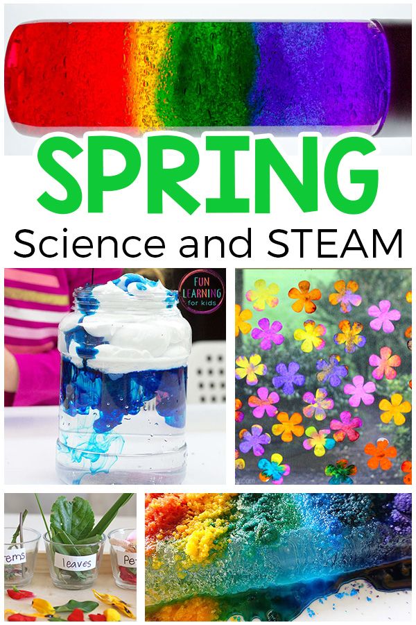 Spring science activities and STEAM investigations for preschool and