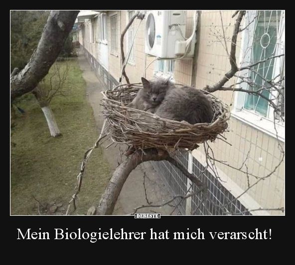 Mein Biologielehrer hat mich verarscht!..
