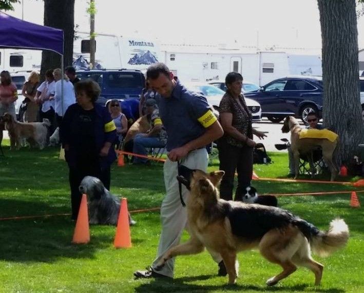 Ted Terroux Dog Training In Lakewood Colorado Image By
