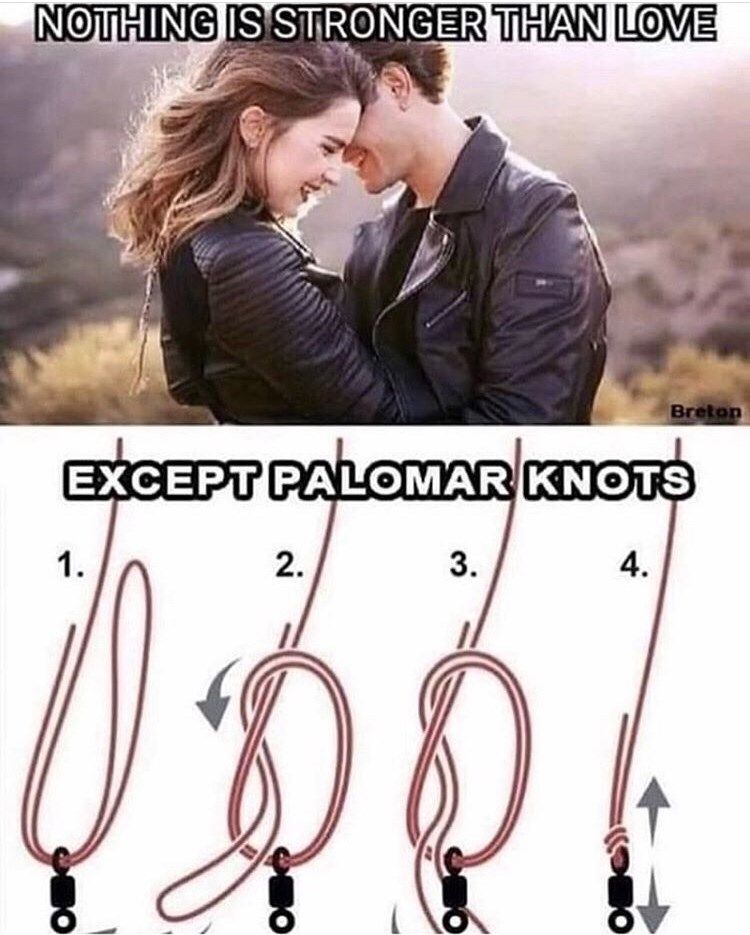 17 Stupid Fishing Memes That Aren't Up For Da Bait Boy Fishing, Fishing Knots, Sport Fishing, Fishing Tips, Fishing Lures, Women Fishing, Fishing Tackle, Walleye Fishing, Carp Fishing
