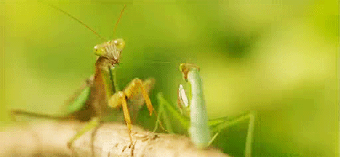 a47a4e16a8b4d54c54c001a561438316.gif