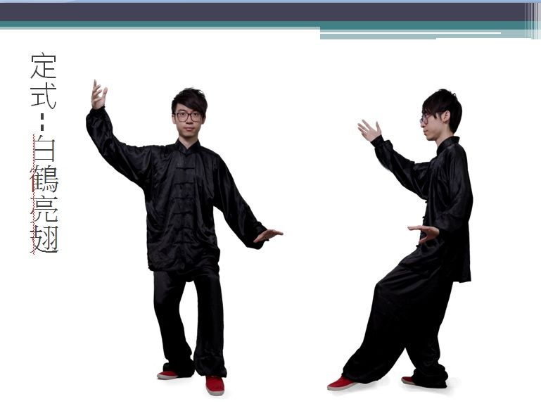 15 Best Taijiquan 24forms 3 White Crane Spreading Its Wings Ideas White Crane Crane Tai Chi 15 Best Taijiquan 24forms 3 White Crane Spreading Its Wings Ideas White Crane Crane Tai Chi