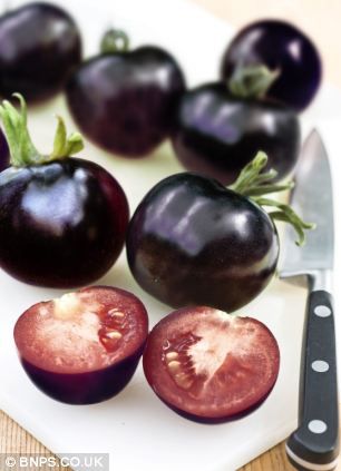 Green Fingered Gardeners Are Growing Black Tomatoes In The Latest Colour Swap Food Craze Fruit And Veg Tomato Seeds Fruits And Veggies