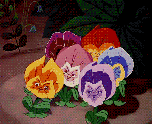 singing pansies from alice