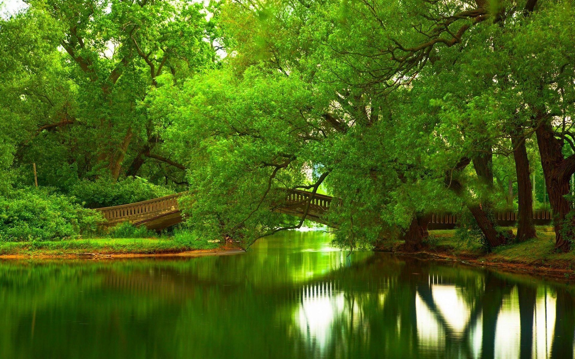 A Quiet Peaceful Place To Escape The Summer s Heat Peaceful Places A Quiet Peaceful Place To Escape The Summer s Heat Peaceful Places