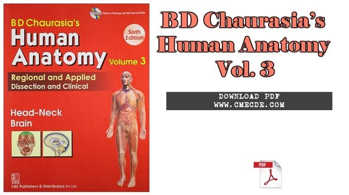 head and neck anatomy by b.d.chaurasia