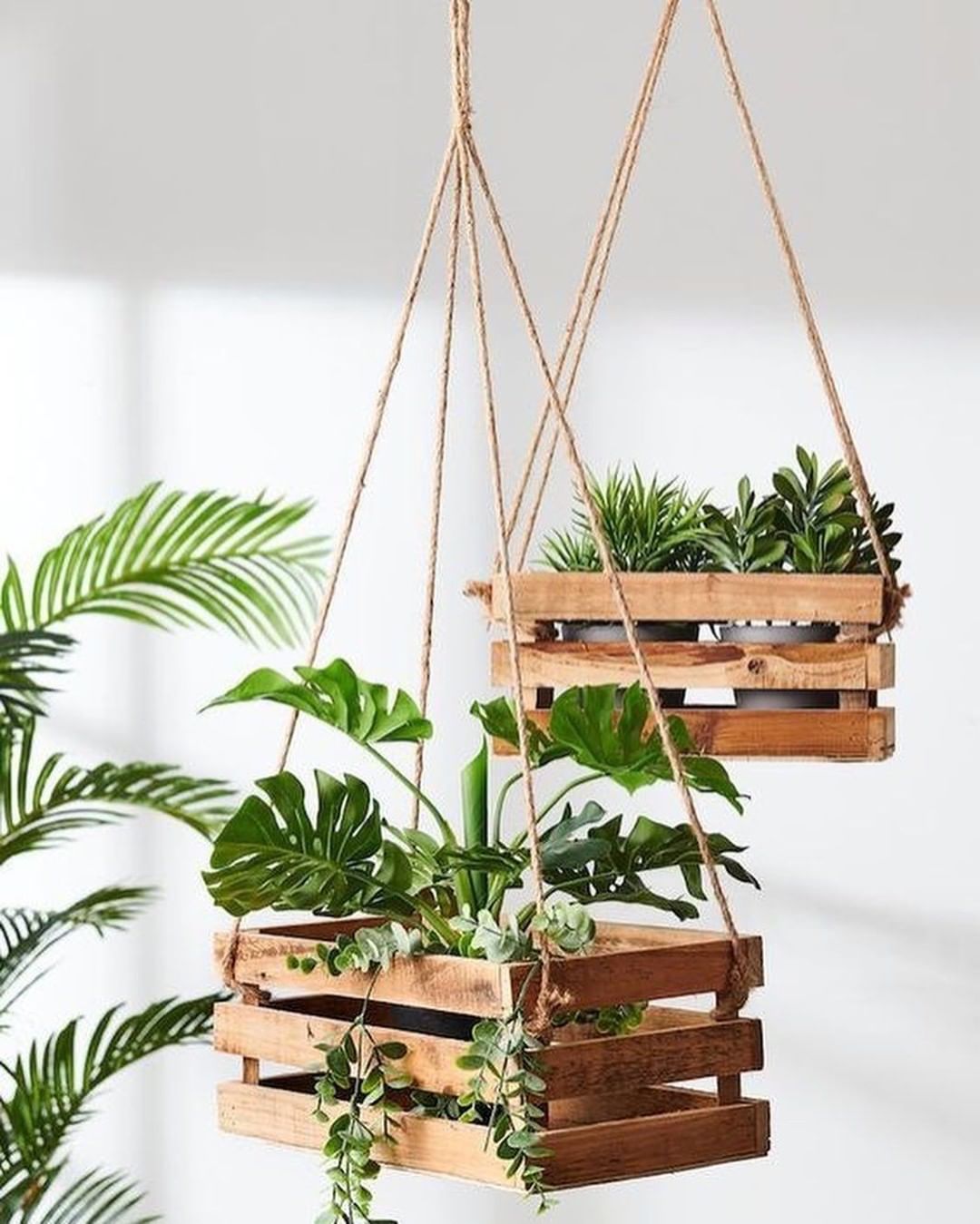 #diy DIY - Suspensions pour #vgtaux avec des #cagettes#dco #dcoration #deco #blogdco #blogueusedco #diy #plantes #diydco