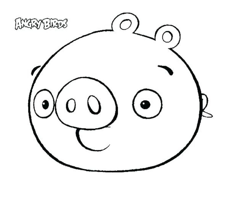 Download Angry Birds Green Bird Coloring Pages in 2020 | Bird coloring pages, Kids printable coloring ...
