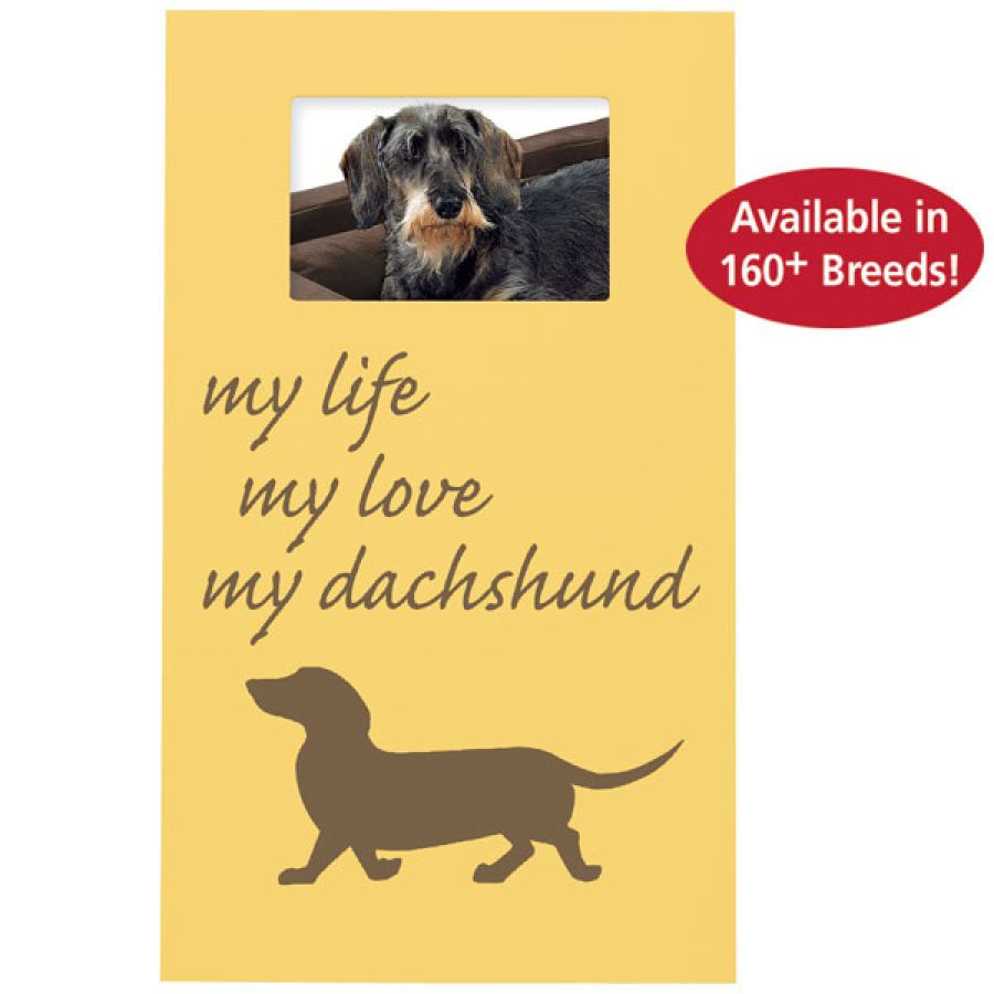 My Life My Breed Frame Dog Shop Dachshund What S New Today