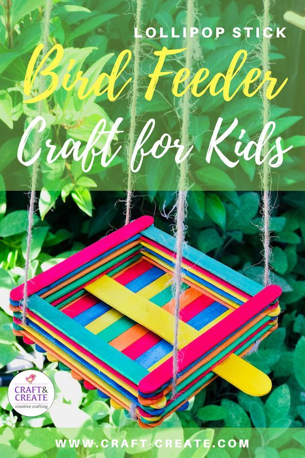 Kids Craft Lollipop Stick Bird Feeder