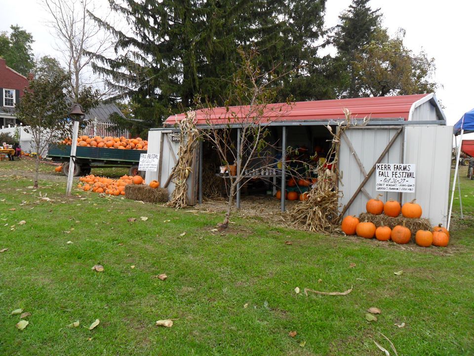 The little guys pumpkins they grow for extra money in the