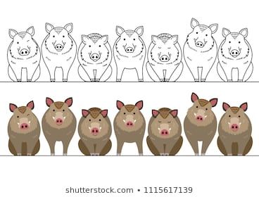 Stock Photo and Image Portfolio by Studio Ayutaka | Shutterstock Year Of The Boar, Fairy Tale Crafts, Pig Painting, Paper Art Craft, Cute Pigs, Handmade Books, Illustrations, Character Illustration, Sewing Projects