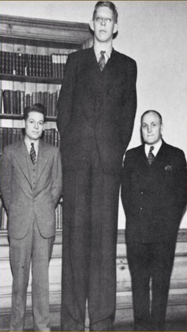 human medical condition robert wadlow the tallest man ever