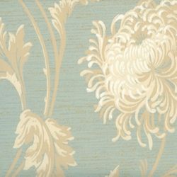 Robin S Egg Blue Chrysanthemum Wallpaper Pinterest For Ipad Robin S Egg Blue Chrysanthemum Wallpaper Pinterest For Ipad