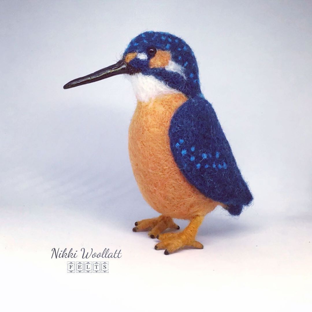 Kingfishers are my favourite bird so often all you see