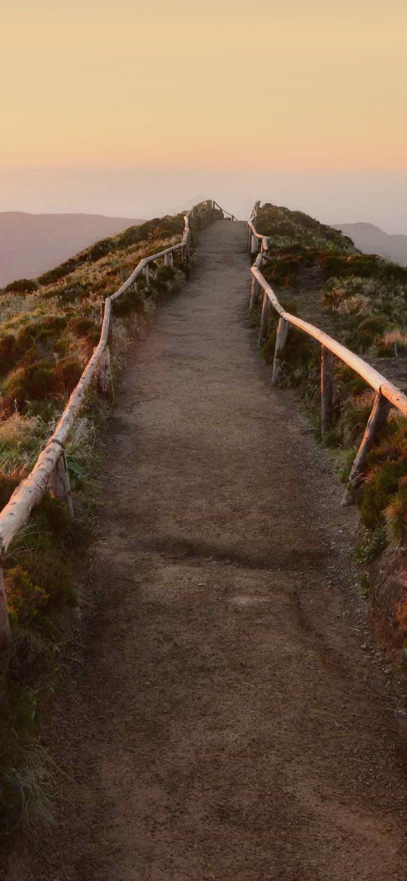 Wallpapers Apple iPhone XR Pack 19 Apple iphone, Écran
